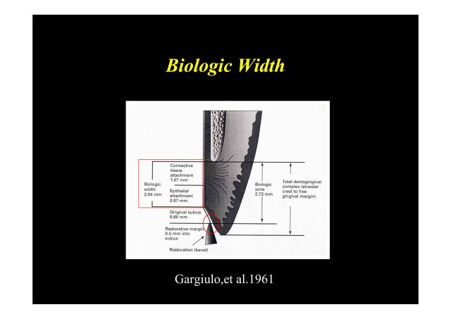 生物学的幅径の概念を示すイメージ図